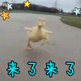 来了来了.gif 来了来了.gif